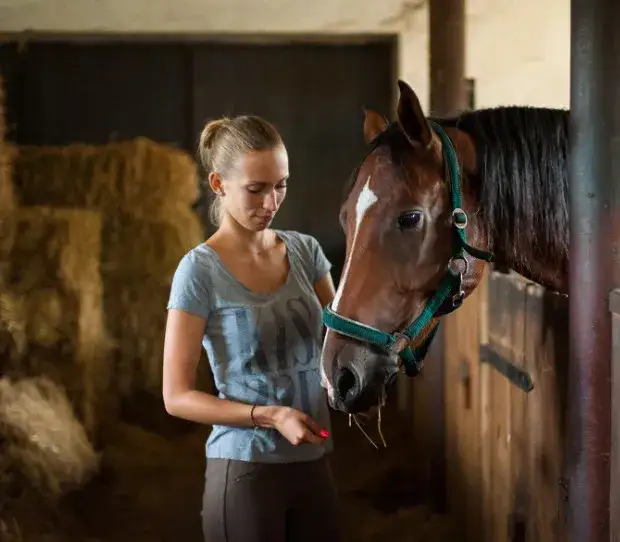 Jazda konna Świętokrzyskie: Wybierz idealną stadninę dla siebie!