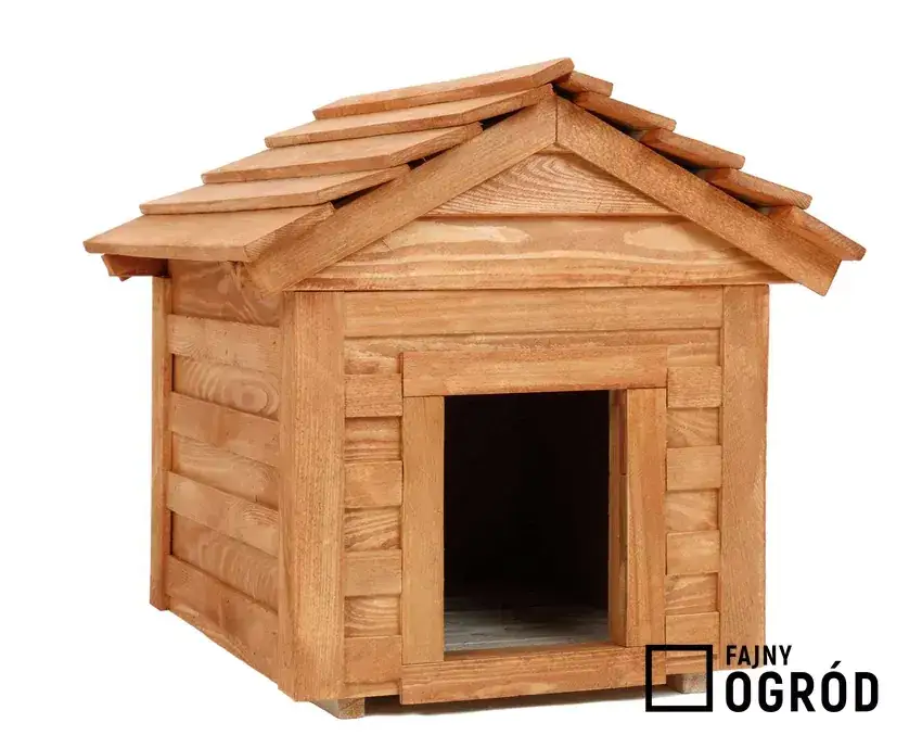 Jak zbudować budę dla psa? Praktyczny poradnik krok po kroku