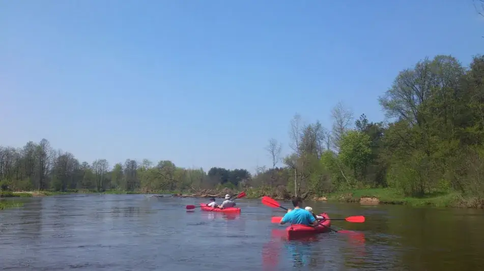 Spływ kajakowy Liwiec: najlepsze trasy i porady dla początkujących