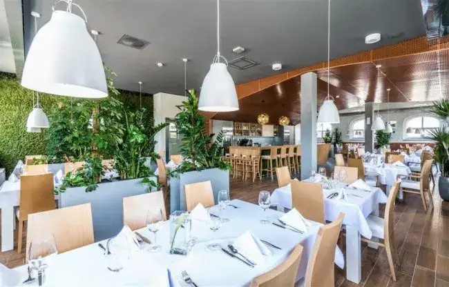 Leszno: Gdzie zjeść? Najlepsze restauracje na każdą okazję