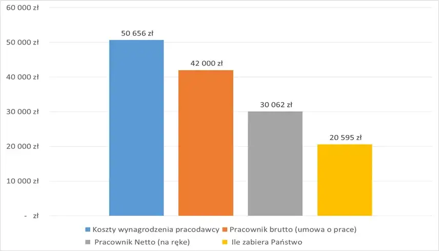 Ile zarabia deweloper miesięcznie? Zaskakujące różnice w wynagrodzeniach