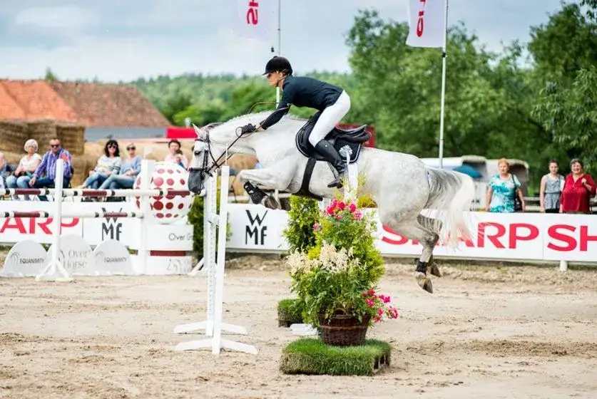 Stadnina koni Ferensteinów – historia, usługi i wyjątkowe wydarzenia