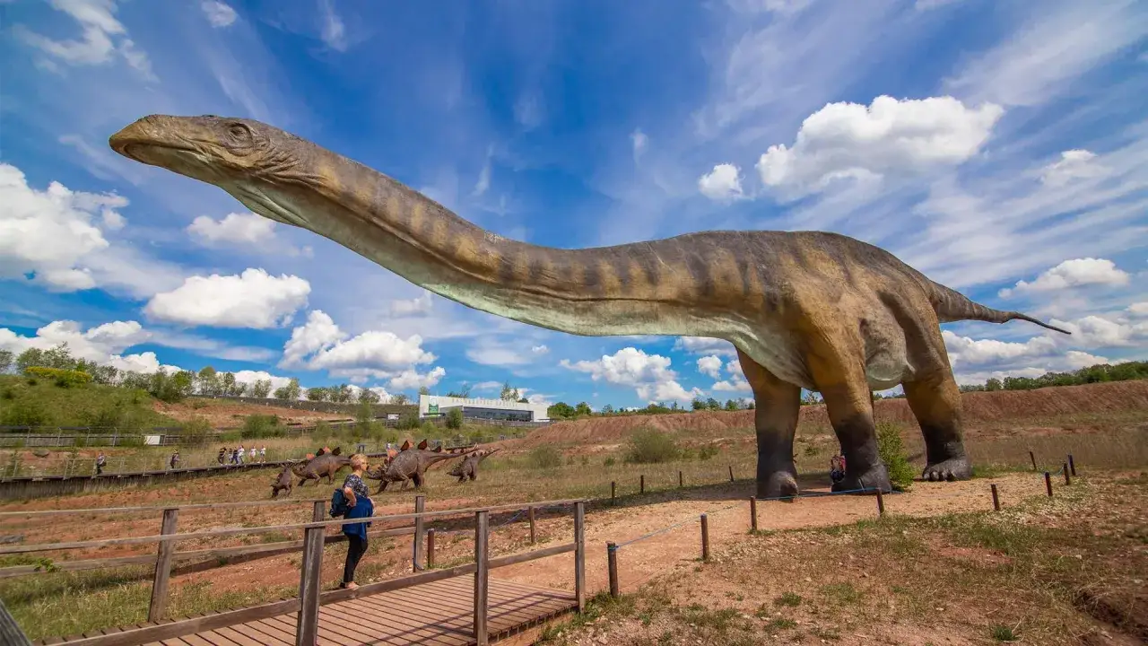 Gigantyczny diplodok w największym muzeum dinozaurów w Polsce. Zwiedzający spacerują po drewnianych kładkach, podziwiając prehistoryczne zwierzęta.