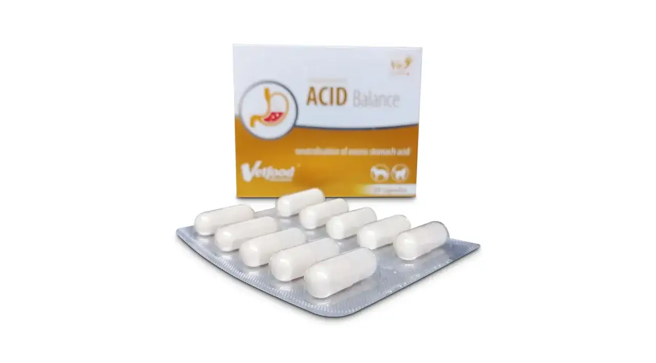 Acid Balance dla psa: zakwaszanie moczu, kamica i infekcje