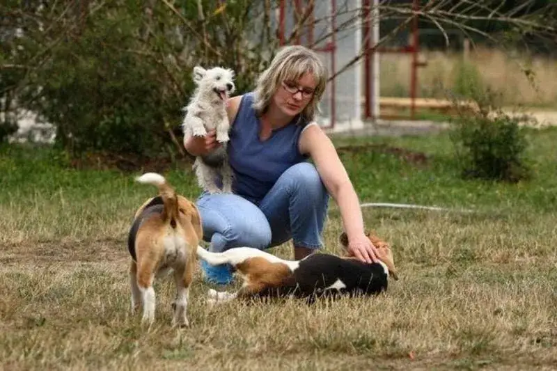 Mam psa i co teraz hotel? Sprawdź, jak wybrać najlepszy dla niego!