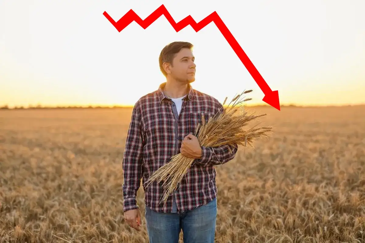 Fundusz Ochrony Rolnictwa: Mroczna historia wsparcia polskich rolników