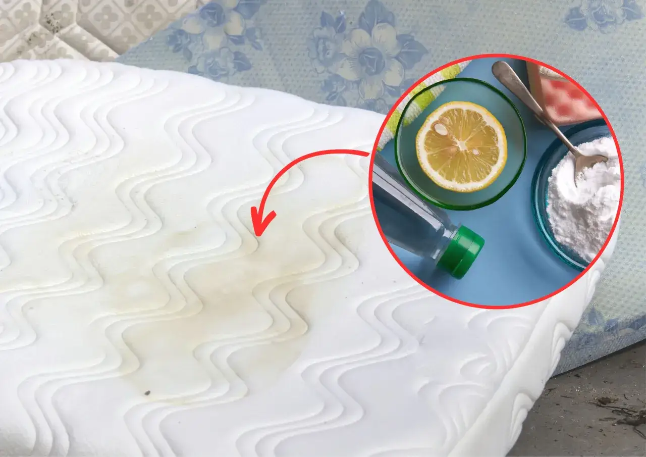 Czysty materac: domowe sposoby na plamy, odświeżanie i higienę