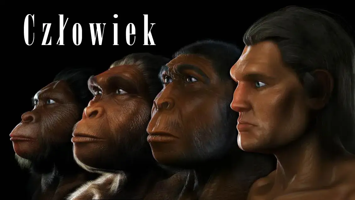 Jak powstał pierwszy człowiek? Od hominidów do Homo sapiens