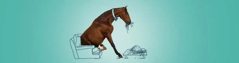 Koń czym się żywi - kluczowe informacje o diecie i karmieniu koni