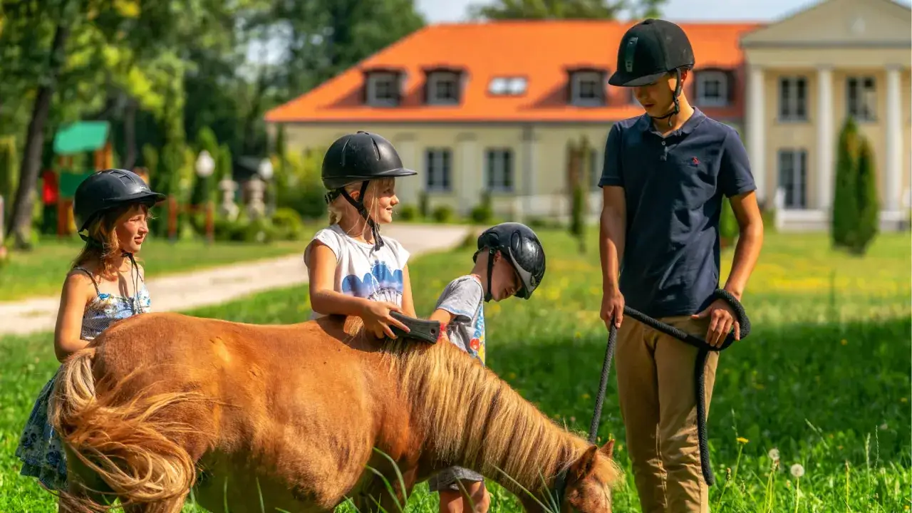 Hotel ze stadniną koni: Jak wybrać idealne wakacje w siodle?