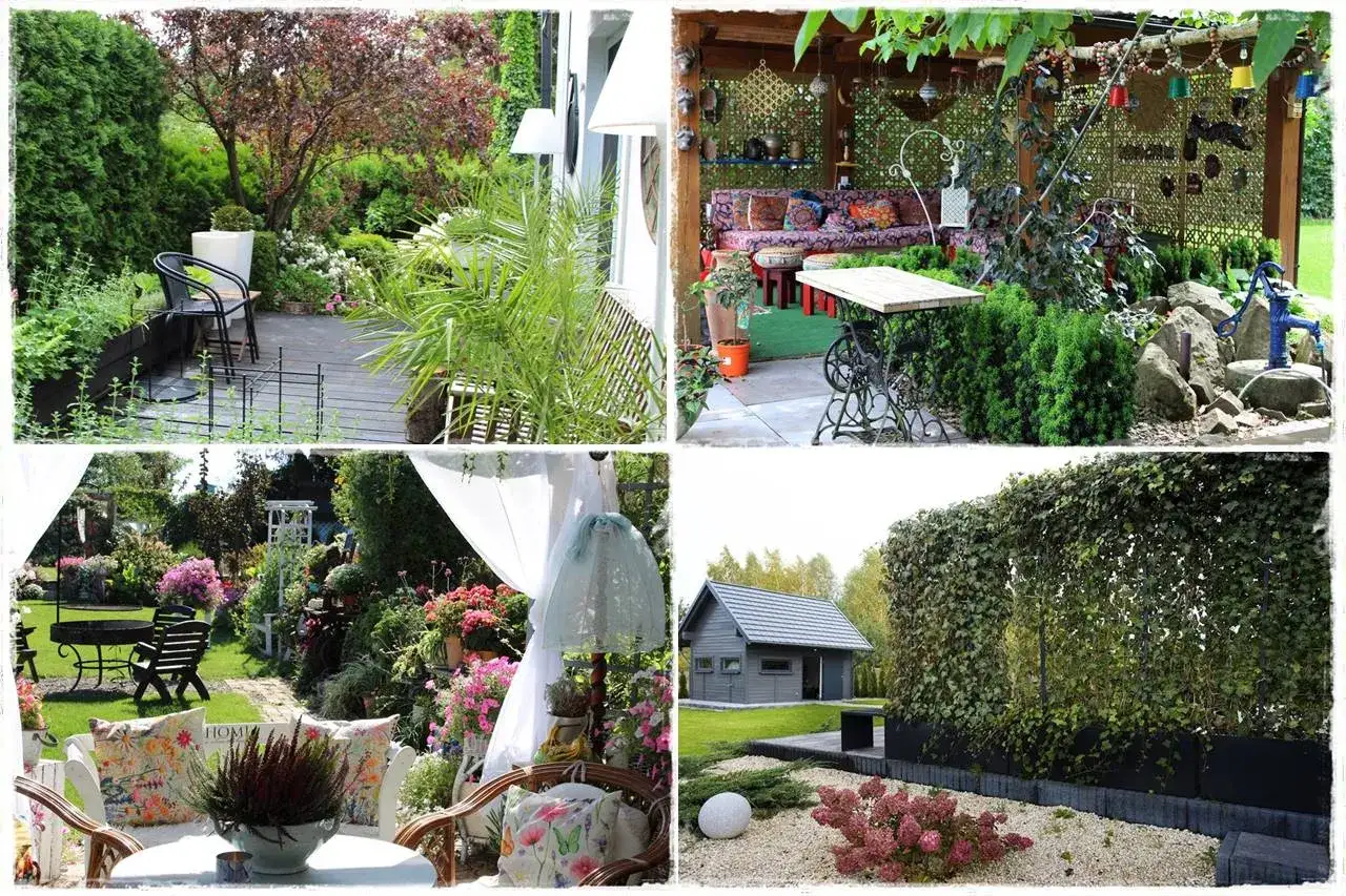 Jak osłonić taras roślinami? Stwórz zieloną oazę prywatności!