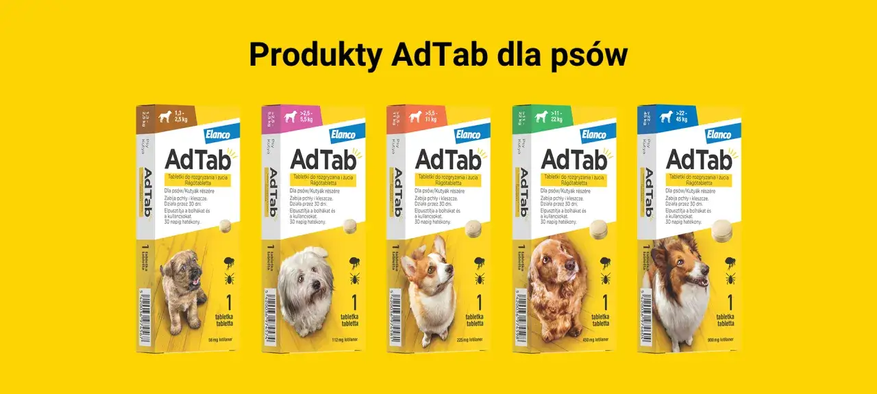 Tabletki na kleszcze dla psa AdTab chronią przed pasożytami. Skutki uboczne są rzadkie, a produkt działa 30 dni.