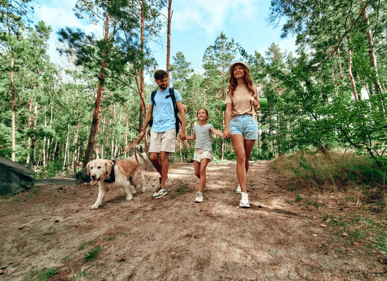 Gdzie w góry z psem: najlepsze trasy i miejsca przyjazne psom