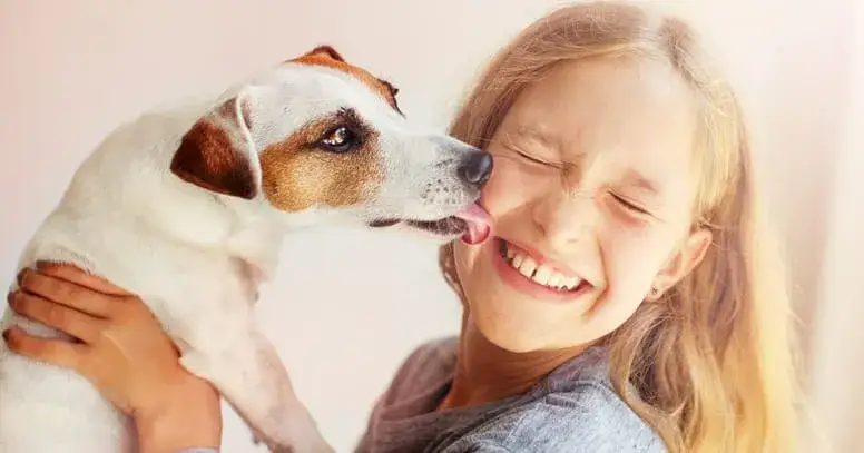 Jak zostać domem tymczasowym dla psa i uniknąć trudności w opiece