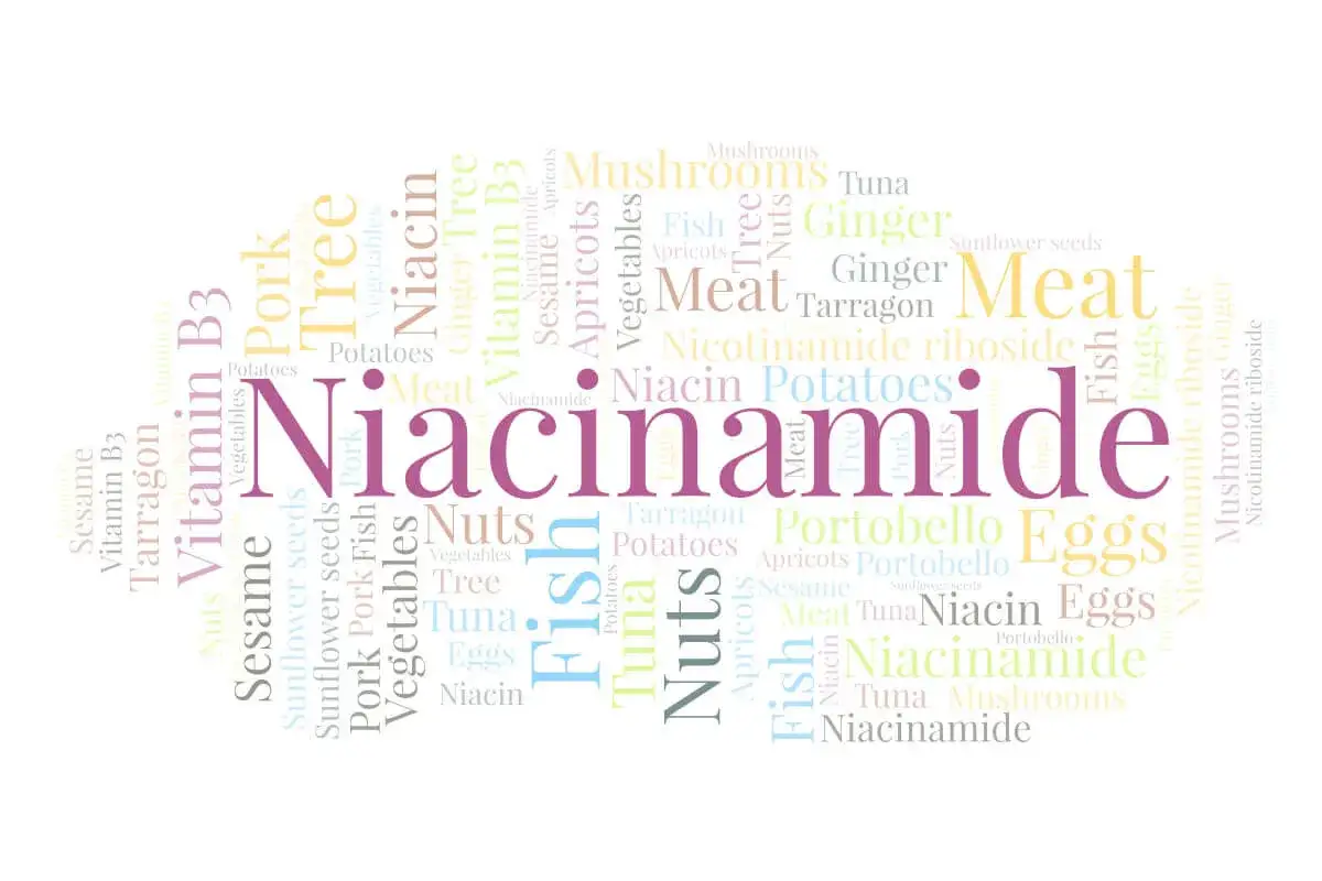 Niacynamid jak stosować? W chmurze słów znajdziesz informacje o niacynamidzie, witaminie B3, rybach, mięsie, warzywach i innych produktach.