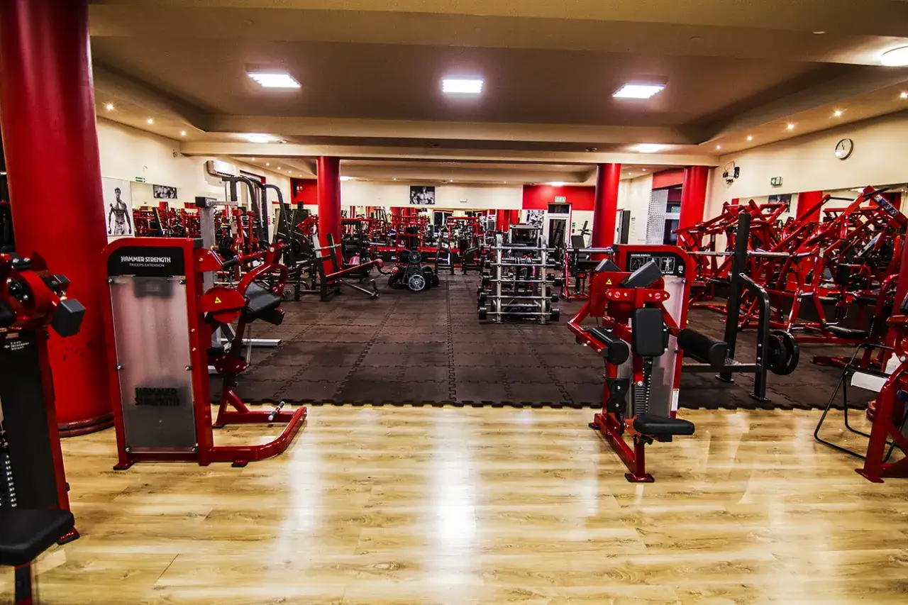 Fusgym: Oficjalne centrum Hammer Strength - Siła i Kondycja