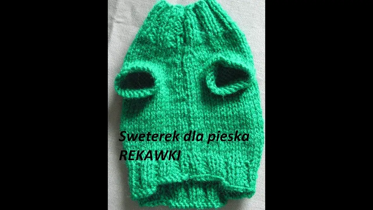 Jak zrobić ubranko dla psa na drutach - proste kroki dla każdego