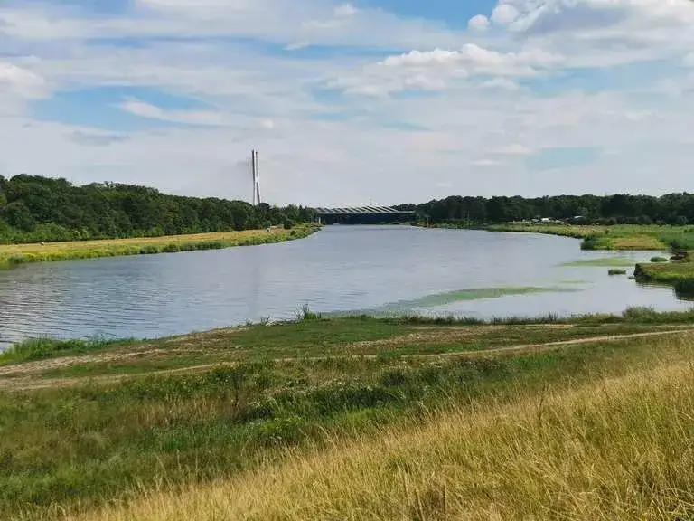 Najlepsze trasy rowerowe we Wrocławiu, które musisz poznać