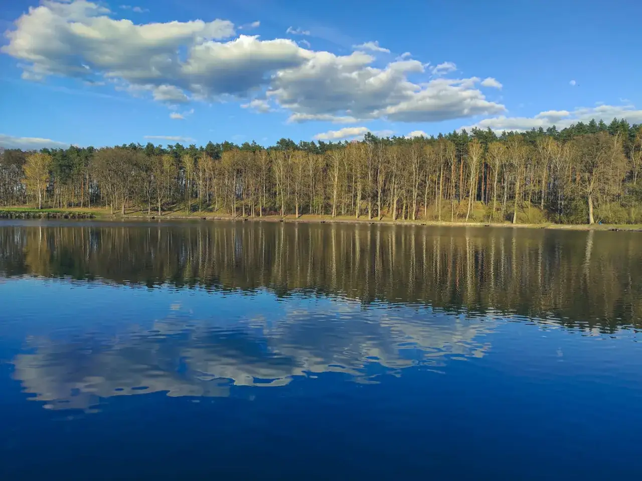 Najlepsze łowiska na stawach: gdzie złowić ryby i jak się przygotować