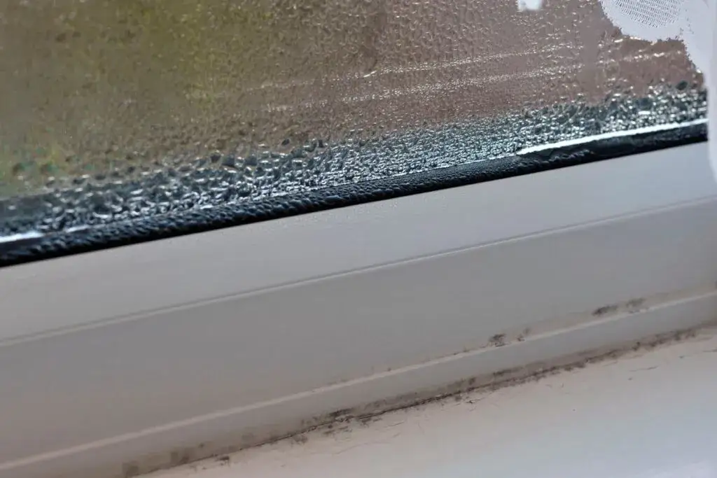 Dlaczego mam zaparowane okna w domu? Oto przyczyny i rozwiązania