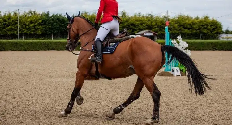 Jak skręcać na koniu: proste techniki, które poprawią twoje umiejętności