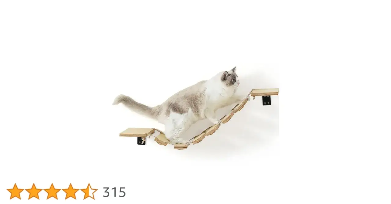 Półki dla kota DIY: Stwórz bezpieczną kocią autostradę!