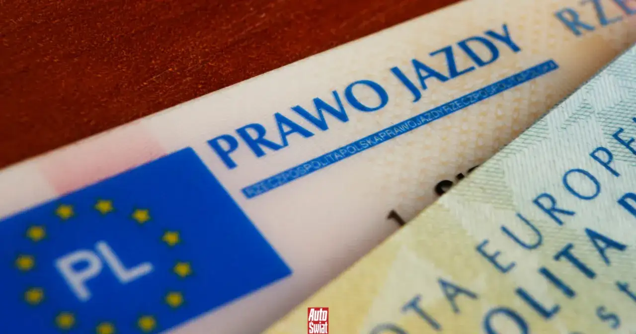 Zgubiony dowód rejestracyjny przed przerejestrowaniem. Widoczne fragmenty prawa jazdy i dokumentu z UE.