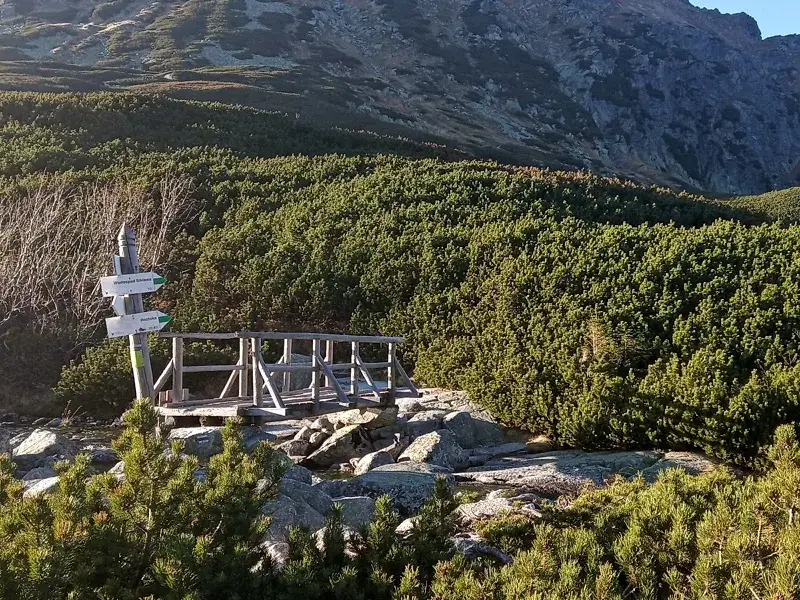 Jak wysoko leży schronisko w Dolinie Pięciu Stawów? Najwyższe w Polsce