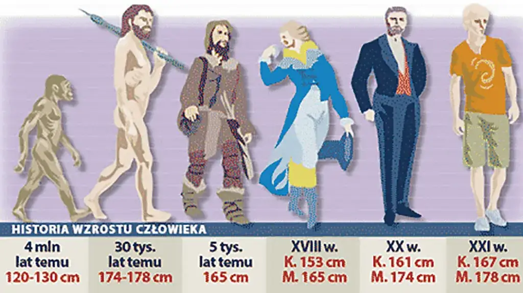 Ile wzrostu mieli ludzie w średniowieczu? Zaskakujące fakty o wysokości