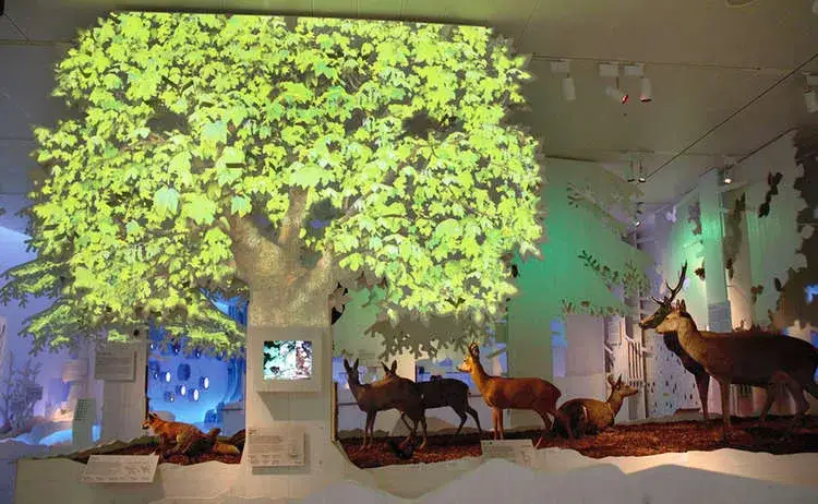 Haus der Berge Berchtesgaden: Was Sie für Ihren Besuch wissen müssen