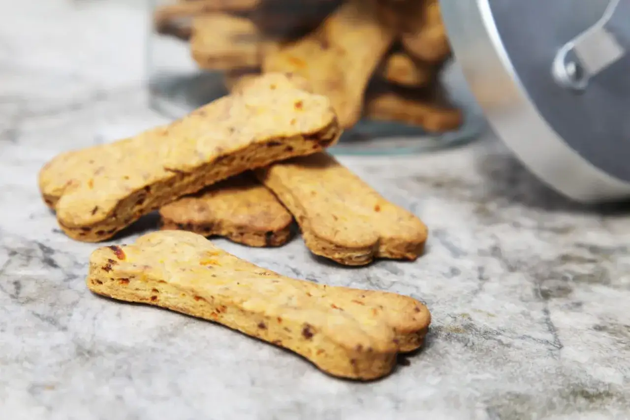 Ciastka z wątróbki dla psa: Zdrowe? Przepis i bezpieczne dawkowanie