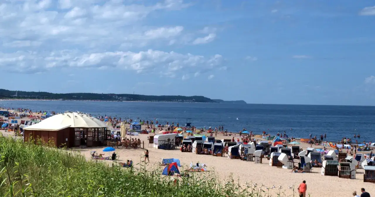Plaża nad Bałtykiem z leżakami, parasolami i ludźmi kąpiącymi się w morzu.