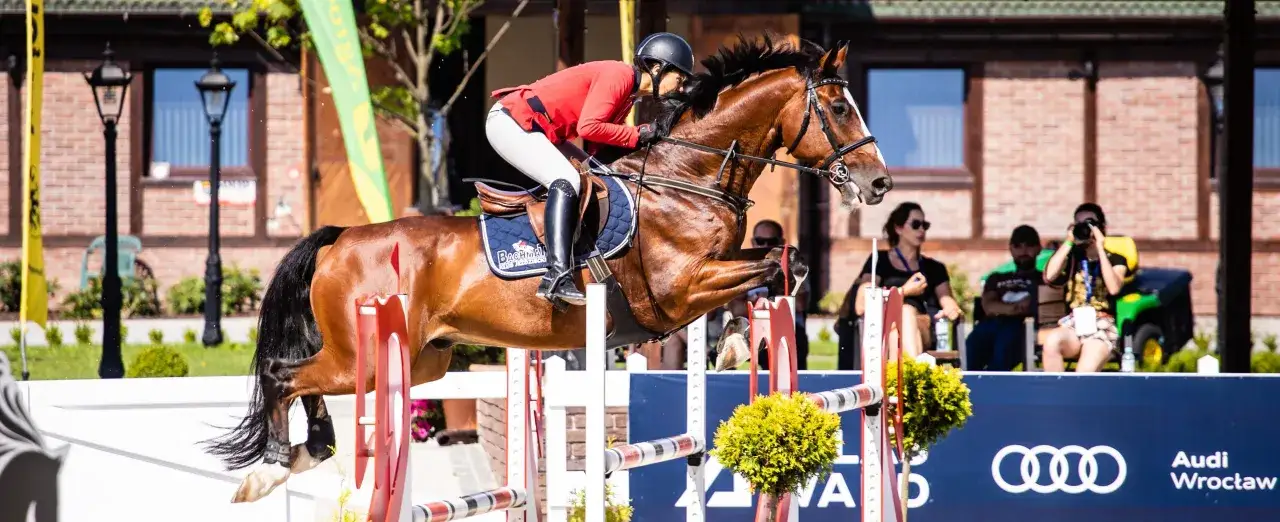 Klub Jeździecki Bachmat - historia, oferta i emocjonujące wydarzenia