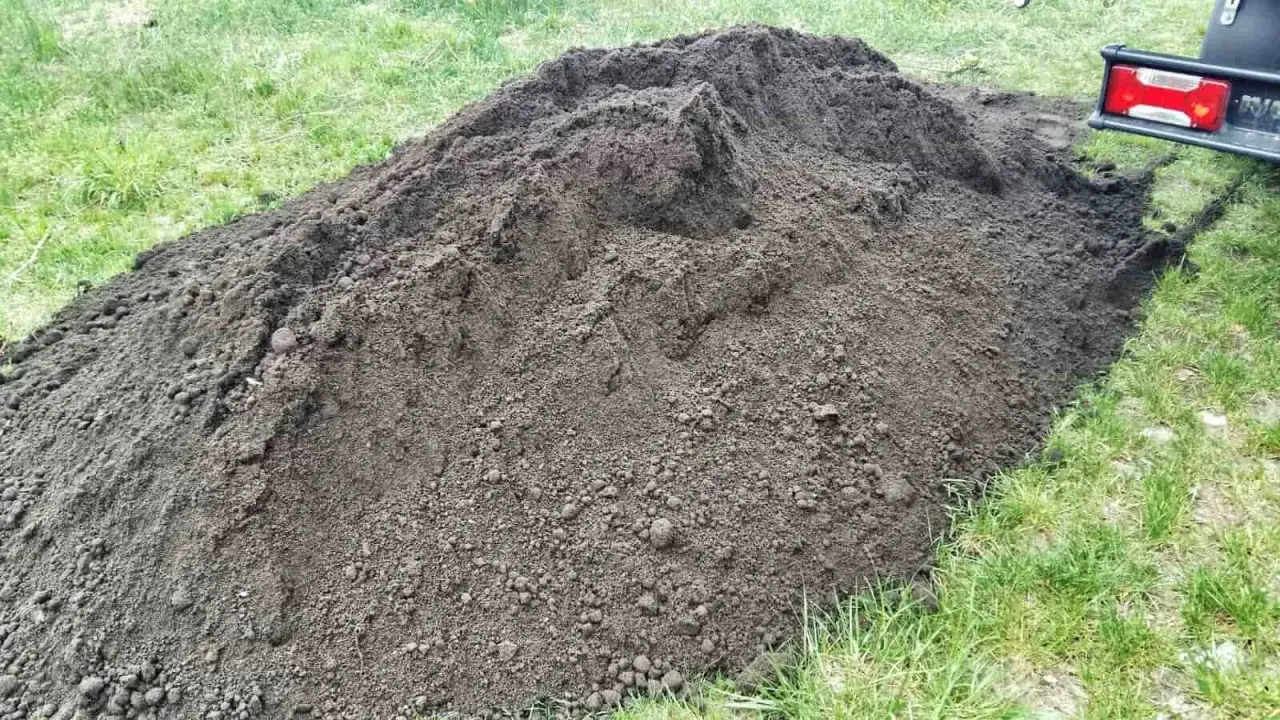 Gdzie kupić ziemię ogrodową? Sprawdź najlepsze miejsca i oferty