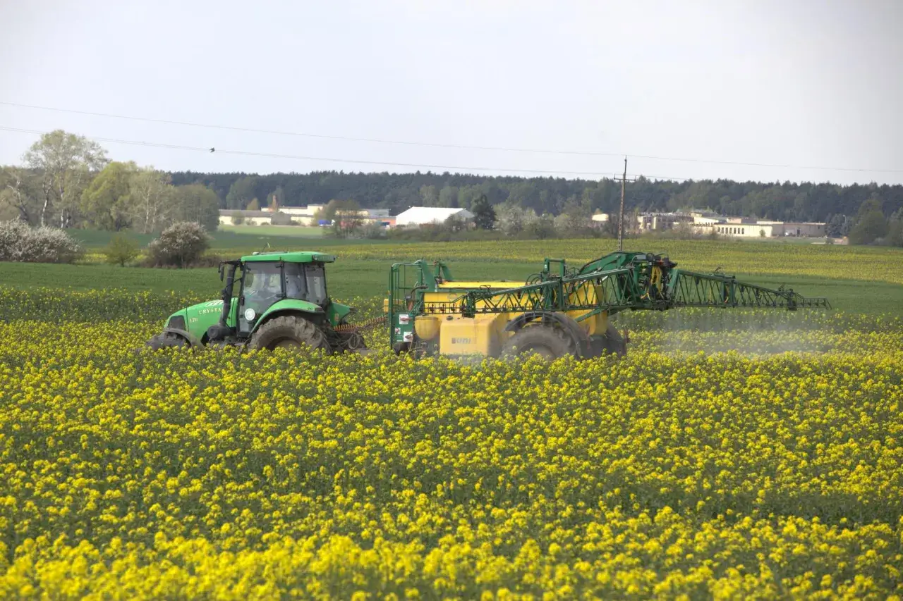 Zielony traktor z opryskiwaczem w polu rzepaku. Maszyna wykonuje zabieg mający na celu biologiczna ochrona upraw przed szkodnikami.
