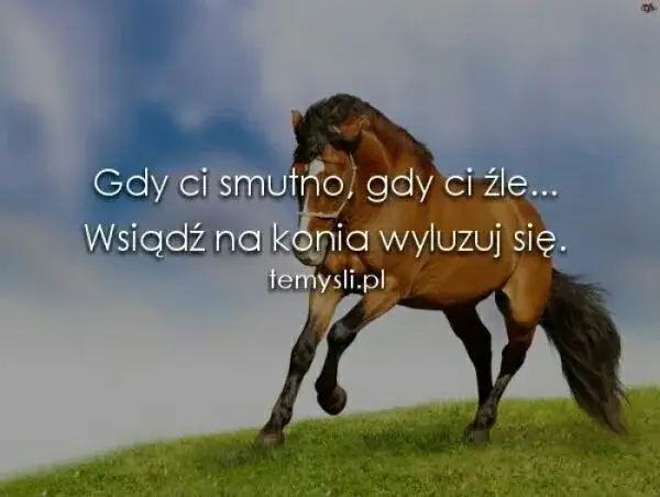 Cytaty o jeździectwie: Inspiracja, mądrość i humor dla koniarzy