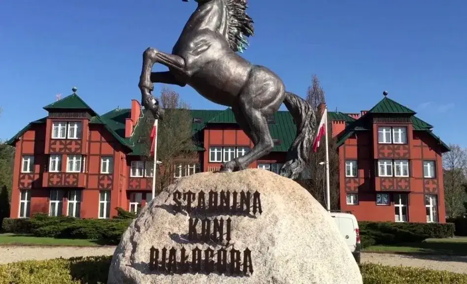 Stadnina koni Wawer: Cennik, oferta i jak wybrać idealną stajnię?