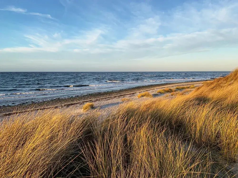 Morze Bałtyckie: słone czy słodkie? Odkryj jego tajemnice zasolenia