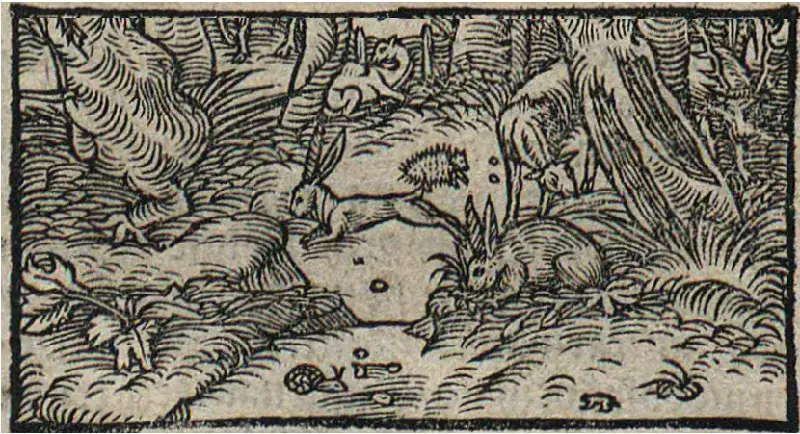 Jak korzystać ze Słownika polszczyzny XVI wieku online? Odkryj go!