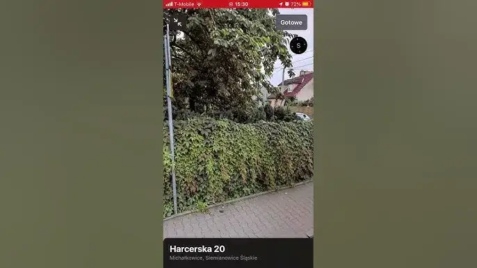 Gdzie mieszka Palion? Odkryj tajemnice życia w Siemianowicach