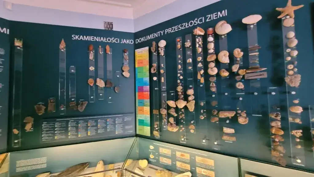 Co znajduje się w muzeum historycznym? Odkryj fascynujące eksponaty