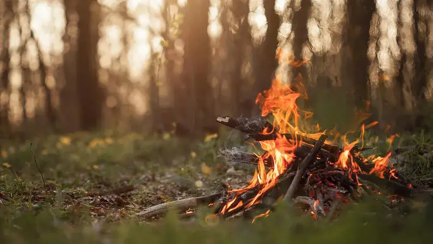 Ognisko w lesie: zasady, kary i legalne miejsca. Sprawdź!