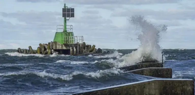 Czy można łowić dorsza w Bałtyku? Zasady i ograniczenia połowu