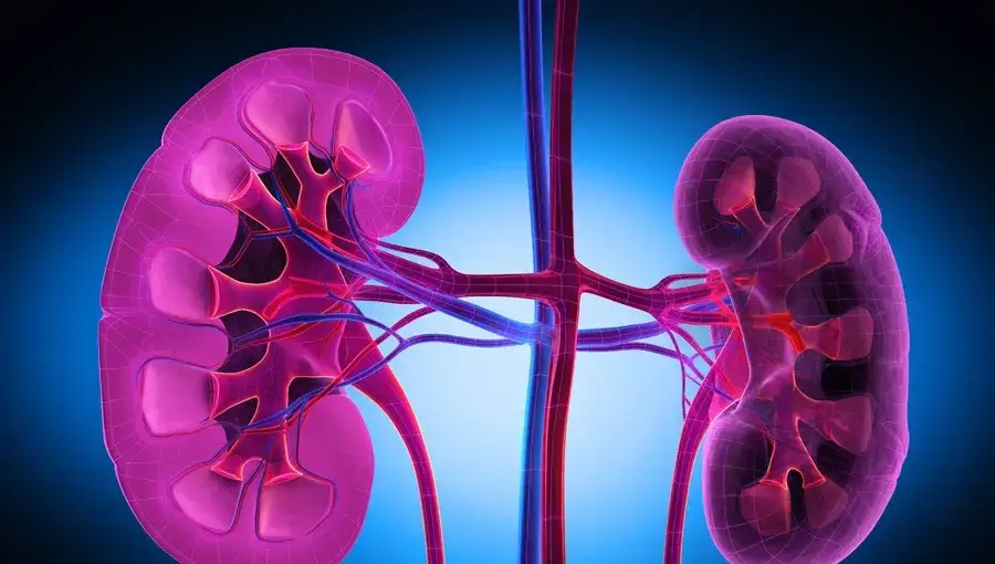 Niewydolność nerek: psychiczne objawy, przyczyny i jak szukać pomocy?