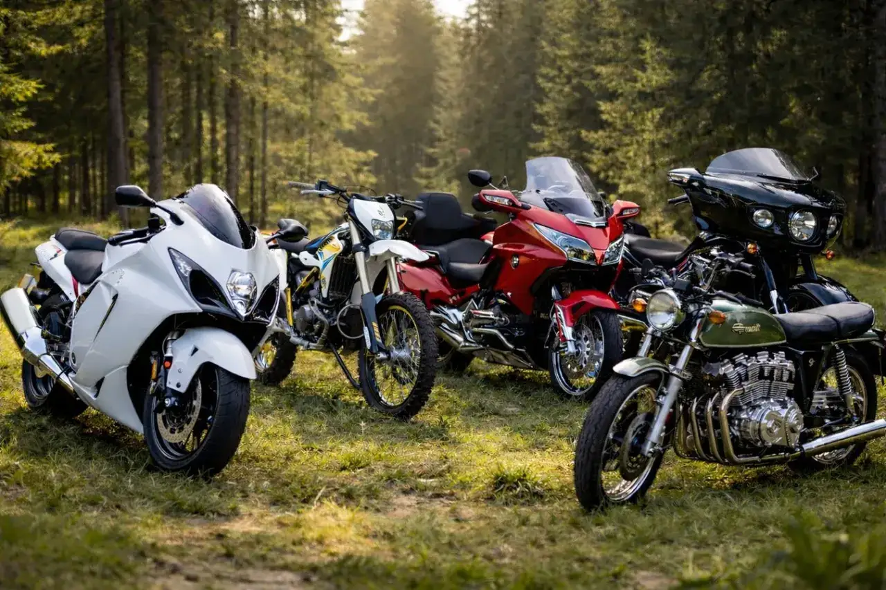 Różnorodne motocykle, od sportowych po turystyczne i klasyczne, stoją w lesie. Każdy z nich to rozdział w historii motocykla.
