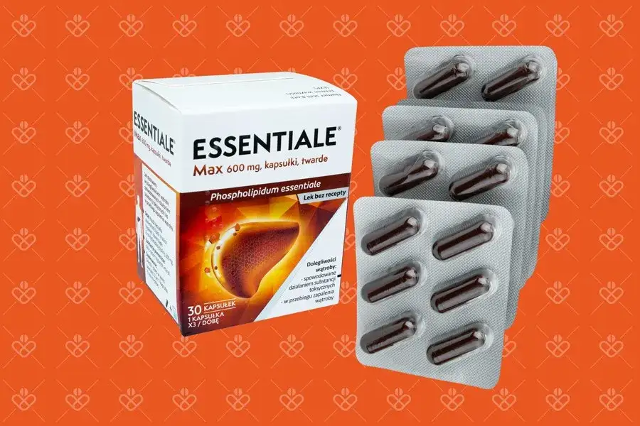 Czy można pić alkohol stosując Essentiale Forte? Wszystko co musisz wiedzieć