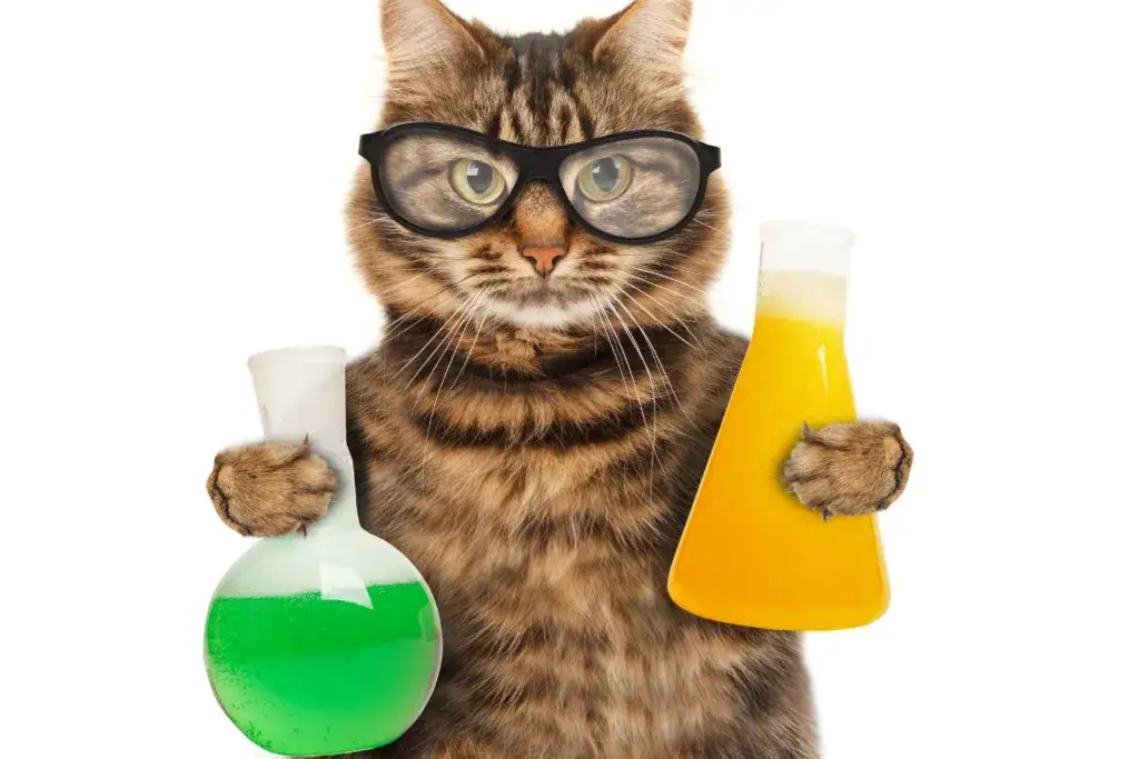 Jak uczyć się chemii skutecznie i unikać najczęstszych błędów