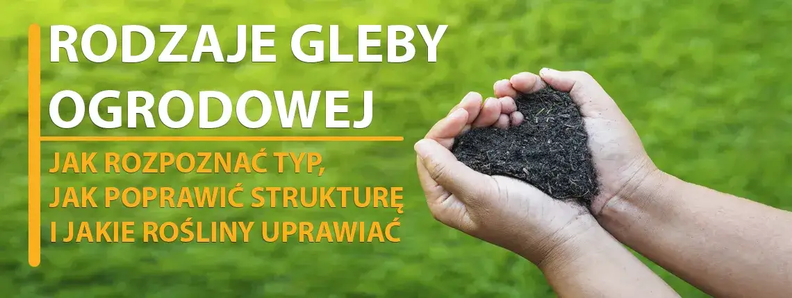 Polska gleba w ogrodzie: Jak ją rozpoznać i uprawiać?