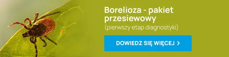 Kiedy zrobić badania na boreliozę? Nie przegap optymalnego momentu po ukąszeniu kleszcza!