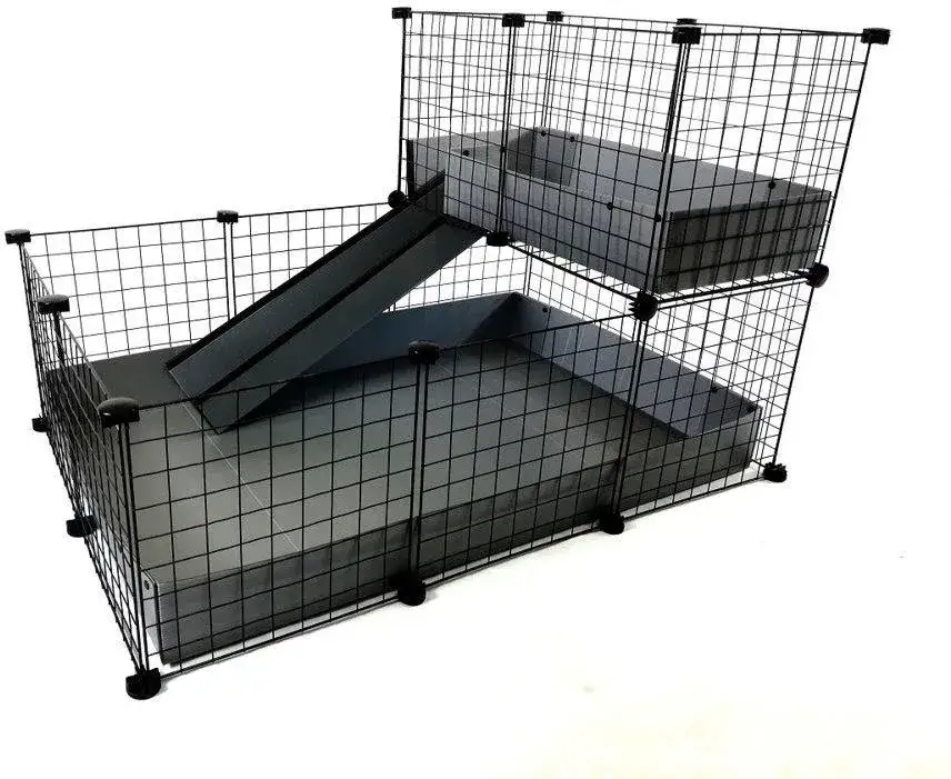 Ile kosztuje klatka dla świnki morskiej: praktyczny poradnik cenowy